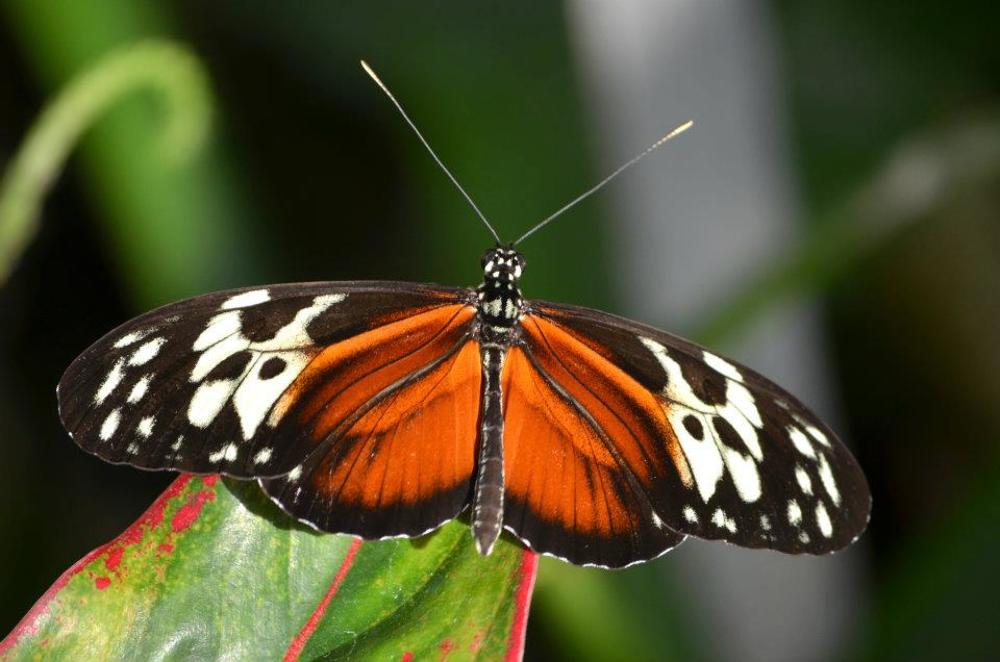 Photograph by Liliana Grup