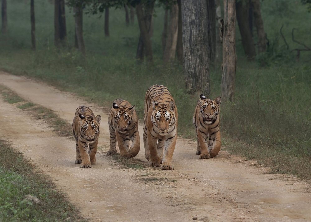 Photograph by Sunil Manikkath