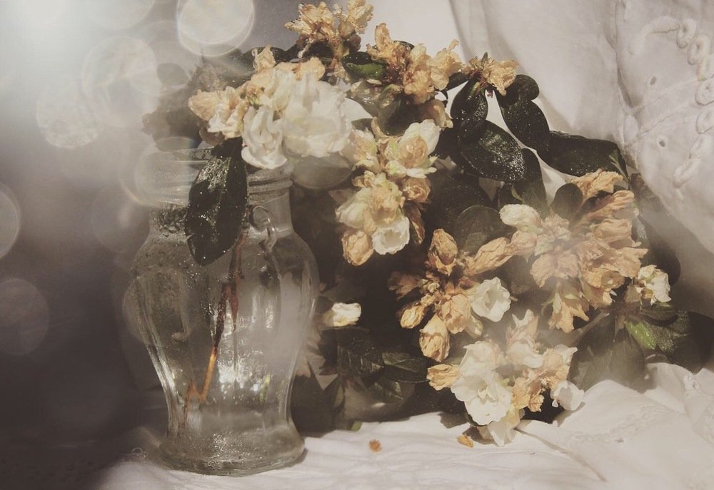 Photograph by Анна Гнатюк