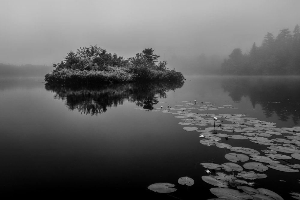 Photograph by Marc-Alain Ferragne