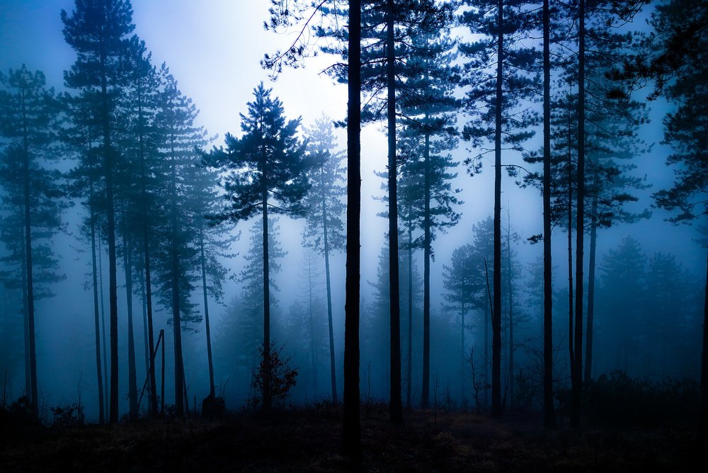 Photograph by Nermin Spahic