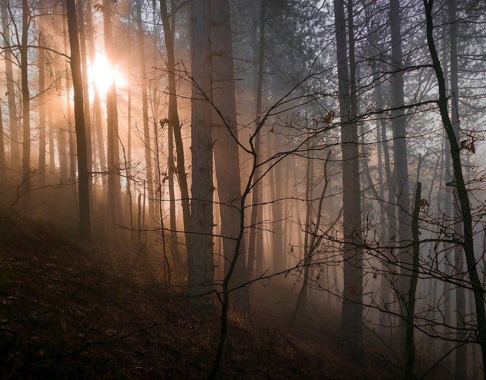 Photograph by Nermin Spahic