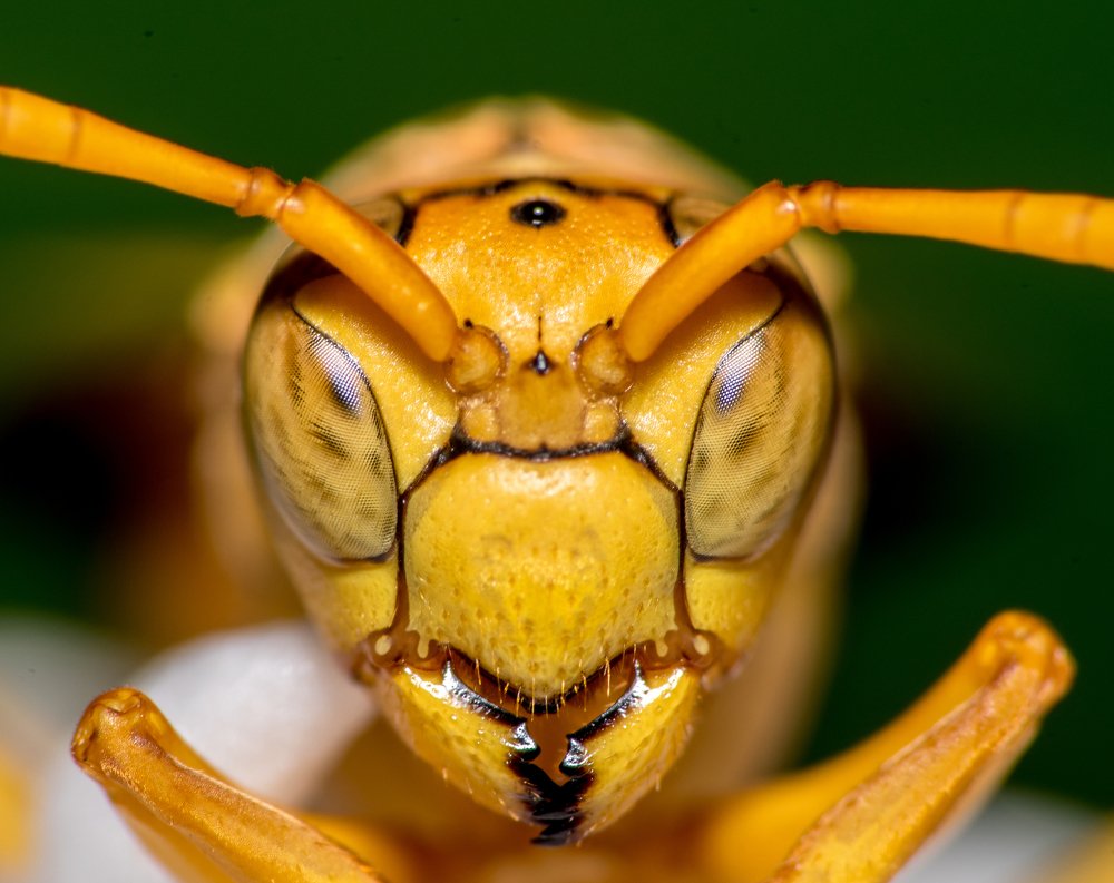 Photograph by Abhishek Manna