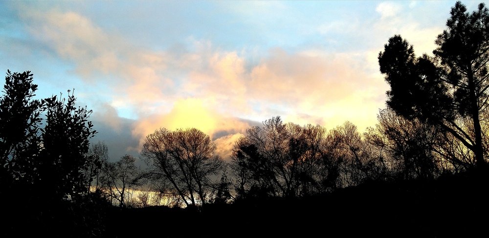 Photo #4786790