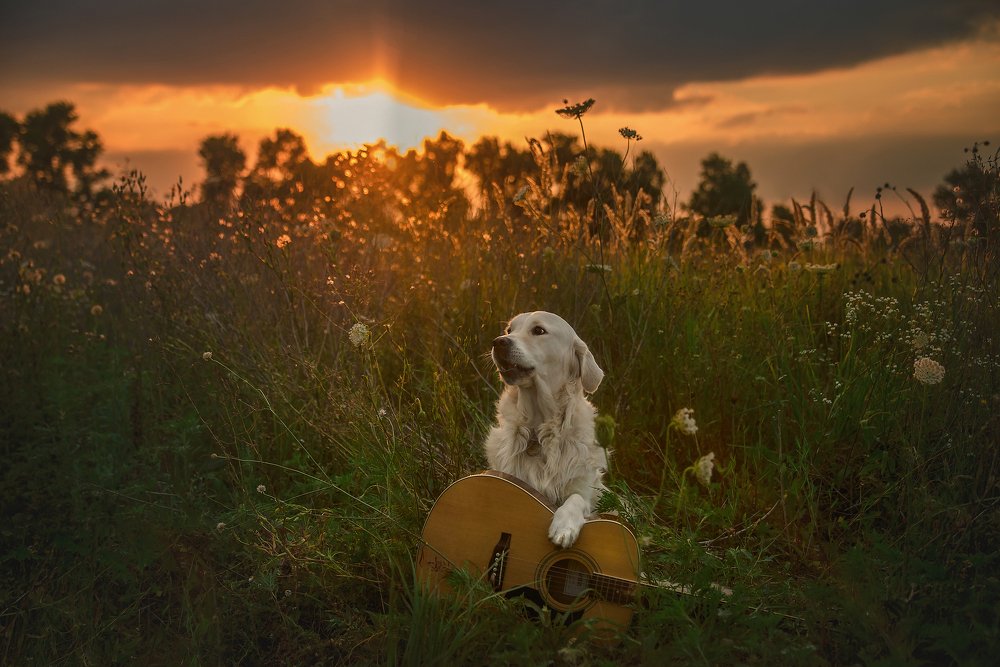 Photograph by Анастасия Мельник