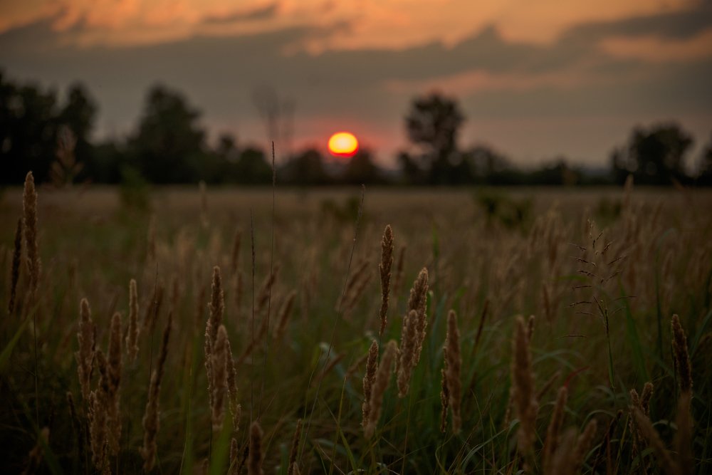 Photograph by Анастасия Мельник