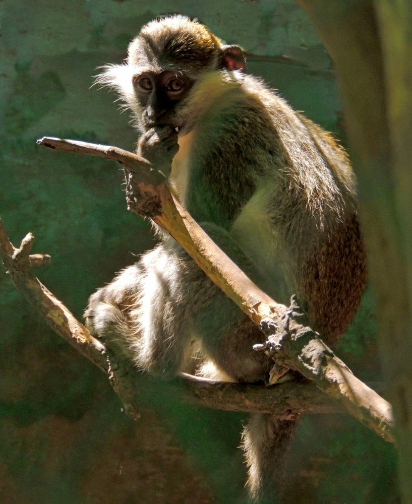 Photograph by Юрий Тихонов