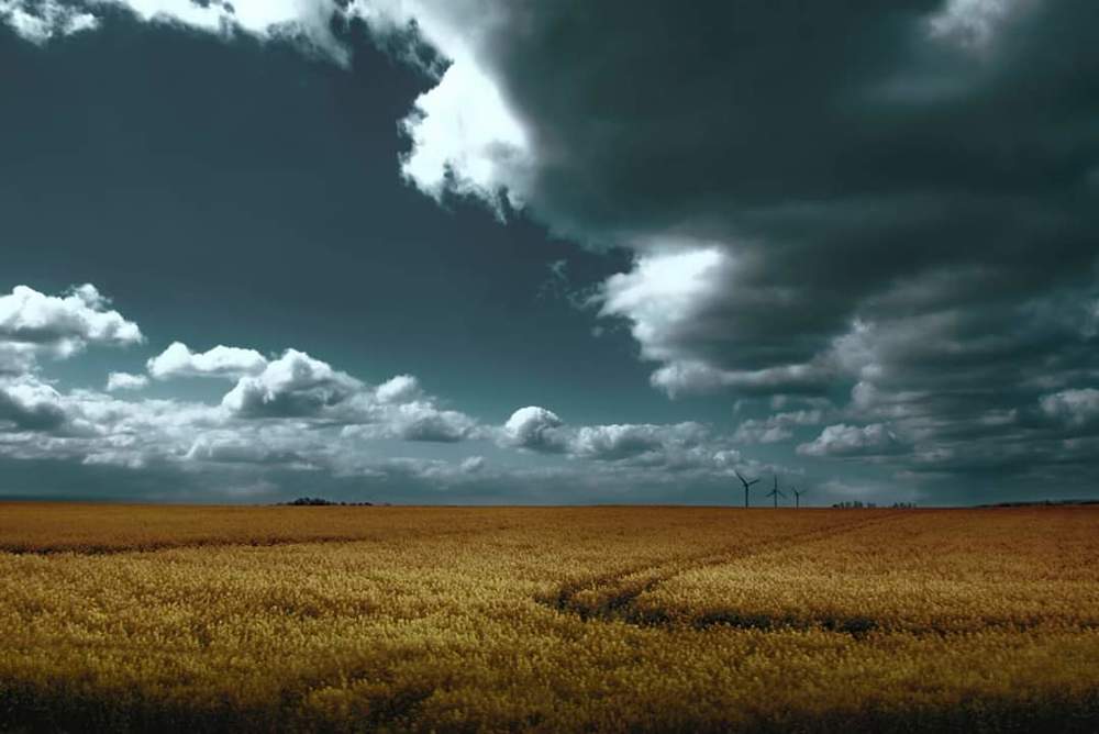 Photograph by Veronika Heessels