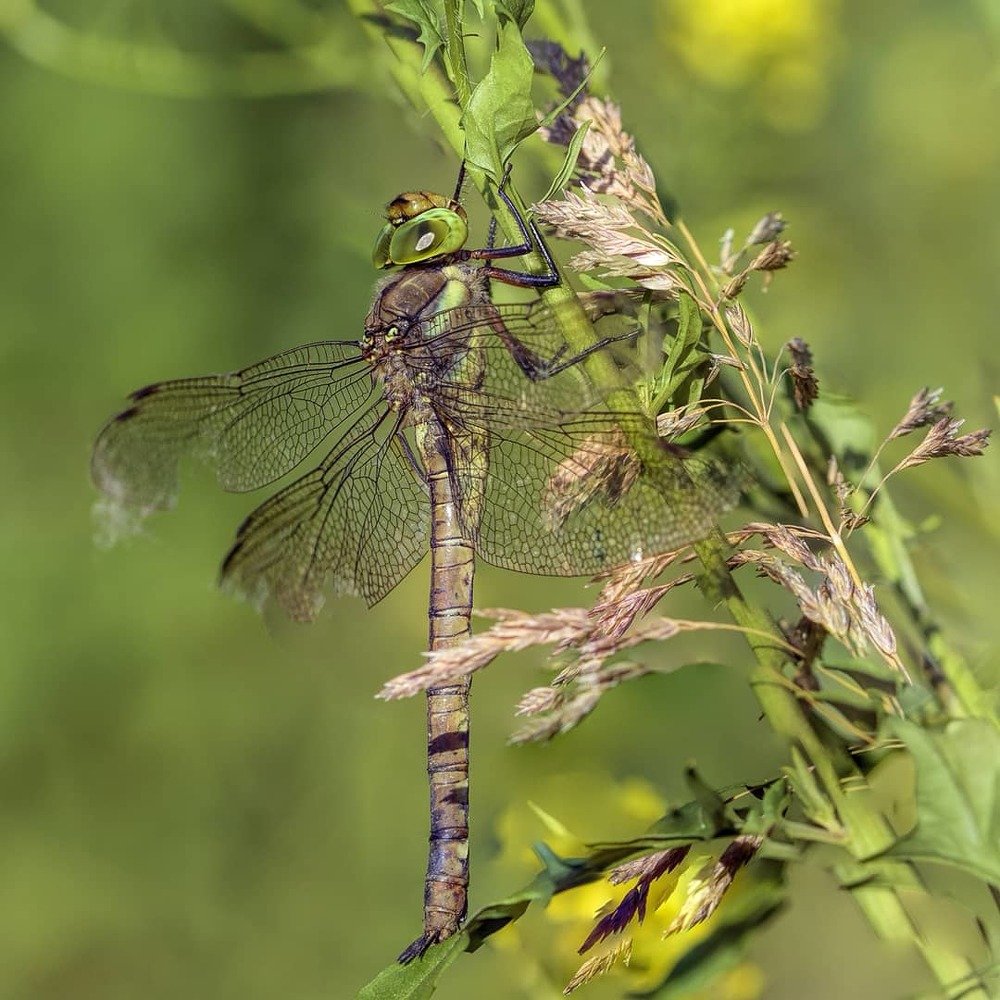 Photograph by Лиана Алексеева