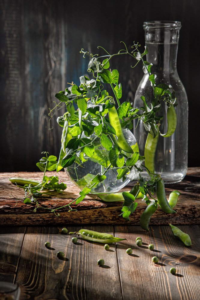 Фотография автора Дмитрий Герц