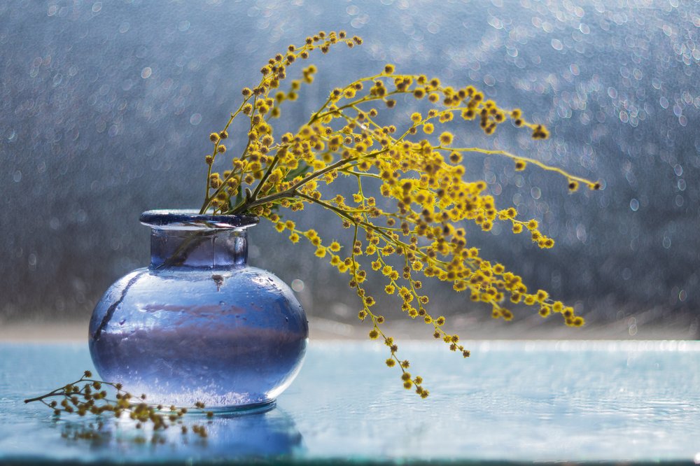 Photograph by Денис Ветренко