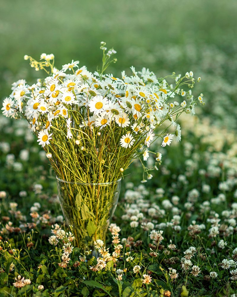 Фотография автора Наталья Филиппова