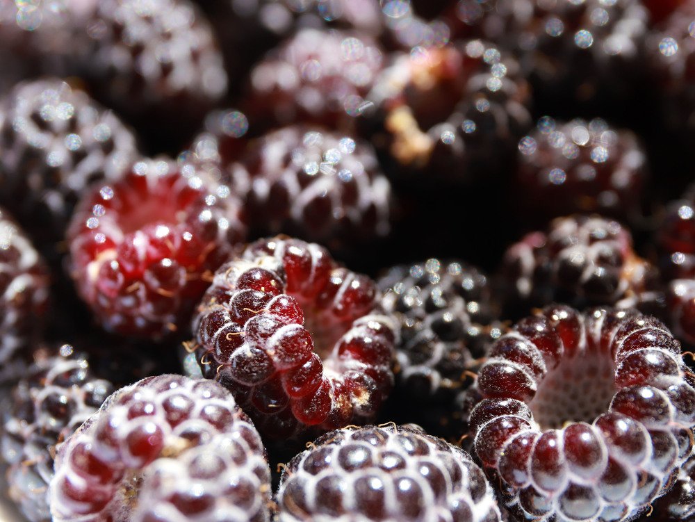 Photograph by Виктория Кузина