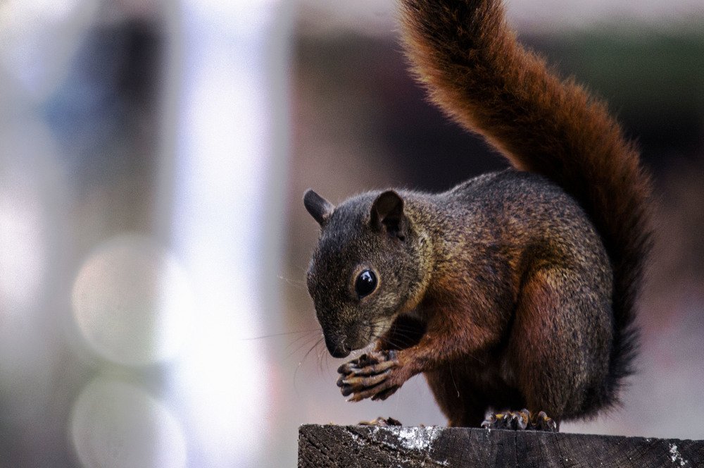 Photograph by Esteban Giraldo Arenas