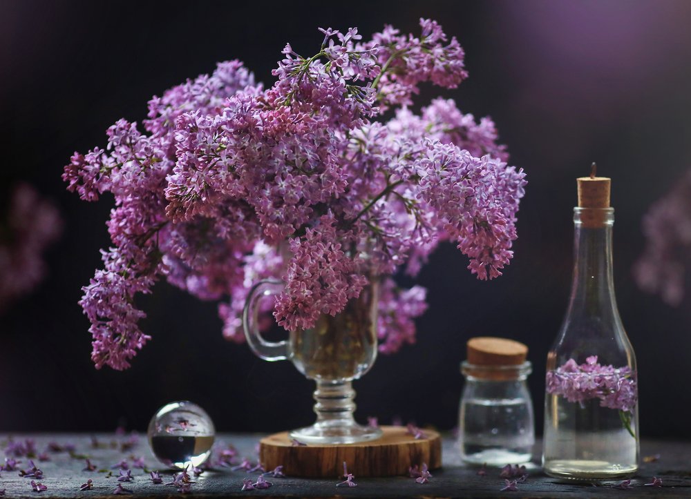 Photograph by Евгения Грин