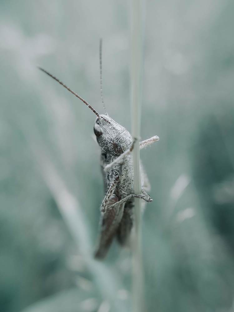 Photograph by Ирина Львова