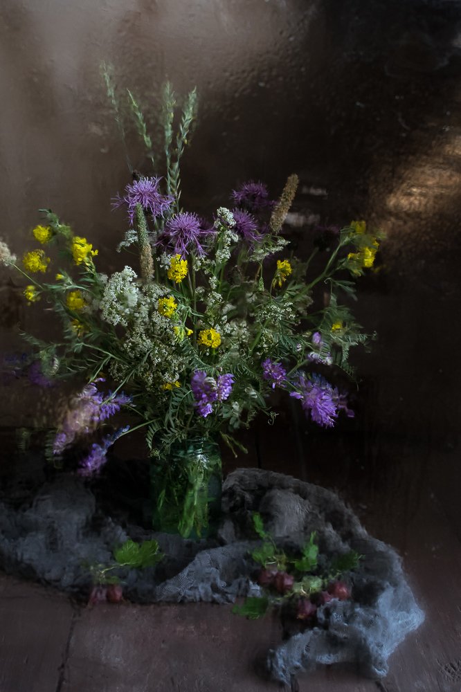 Фотография автора Светлана Бобошина