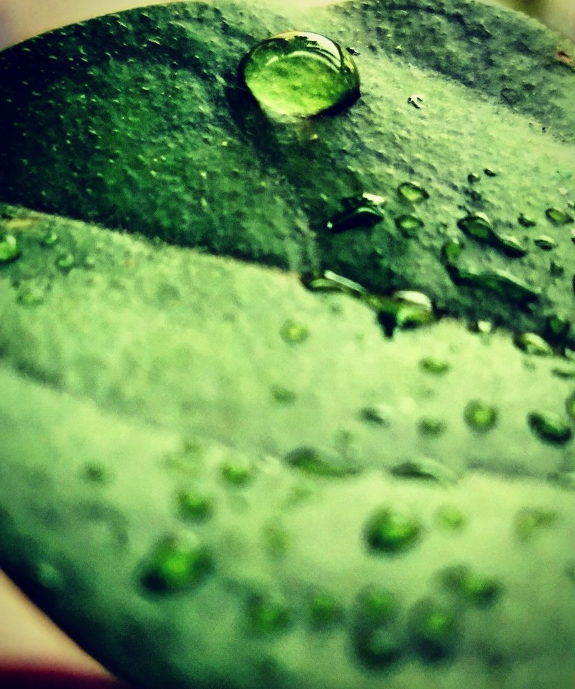 Photograph by Hitiksha Sanghavi