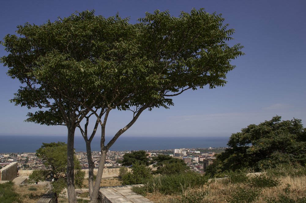 Photograph by Джамиля Алданова