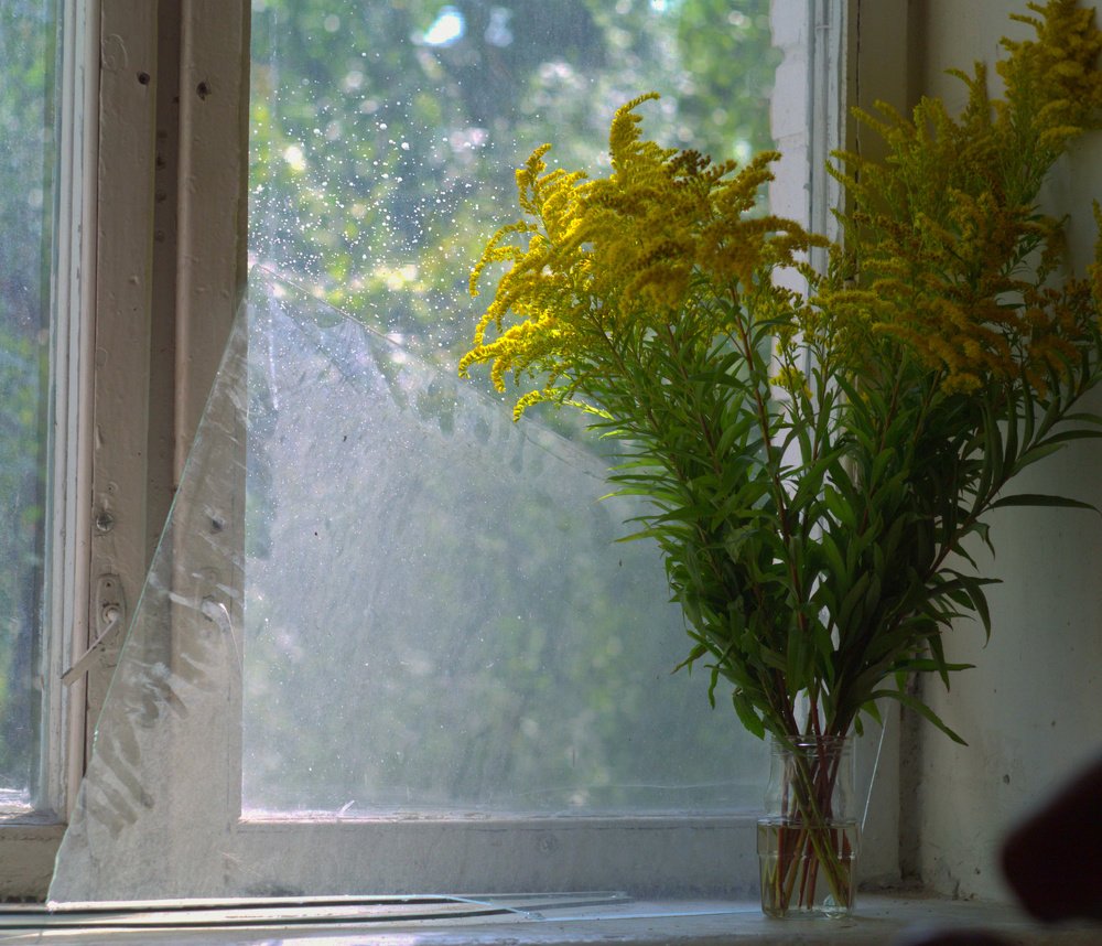 Photograph by Александр Устинов