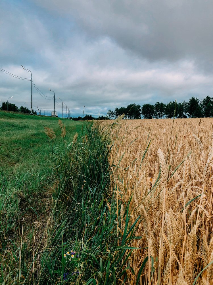 Photograph by Елизавета Киселева