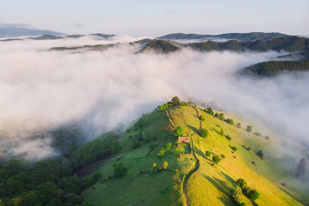 Photograph by Alex Coman