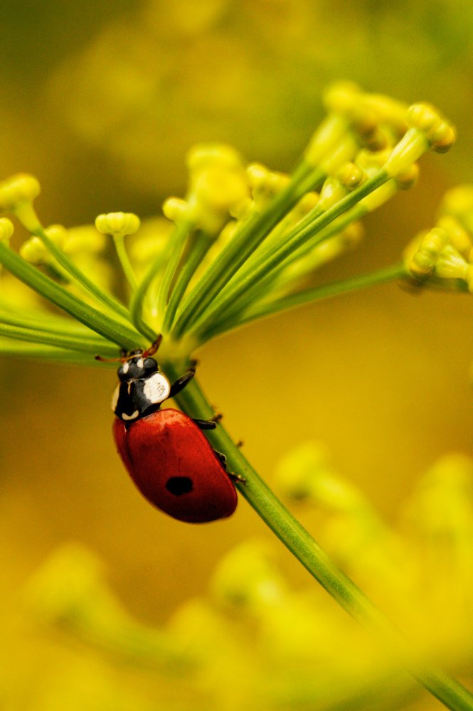 Photograph by Alena Rybakova