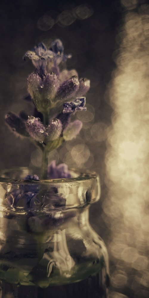 Photograph by Юлия Марфонова