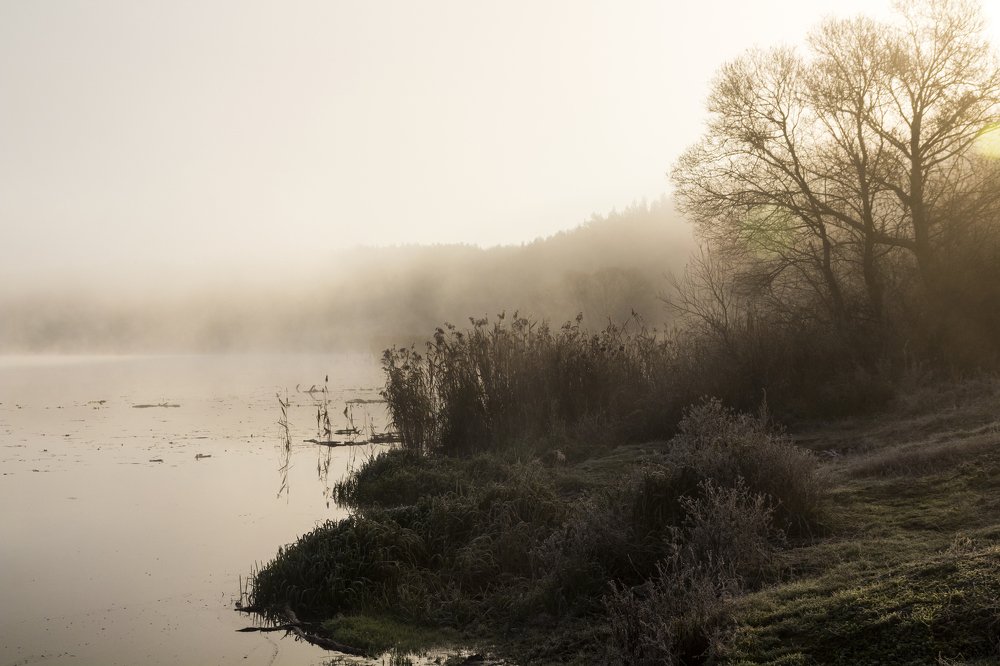 Photograph by Дмитрий Тимин