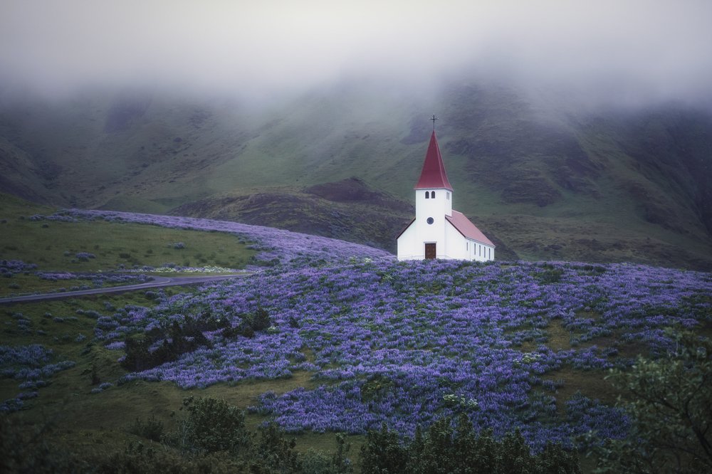 Photograph by Iris Lara