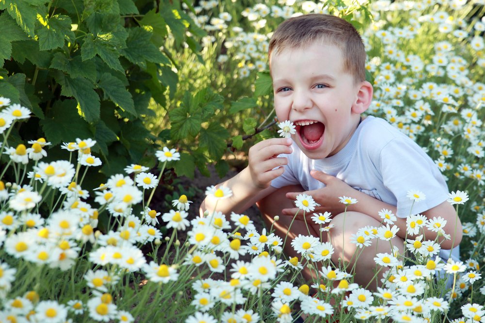 Photograph by Андрей Малахов