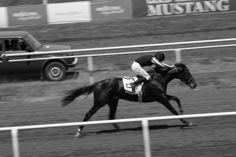 Photograph by Ангелина Журавлева