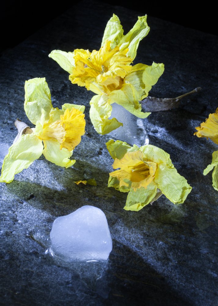 Photograph by Ангелина Журавлева