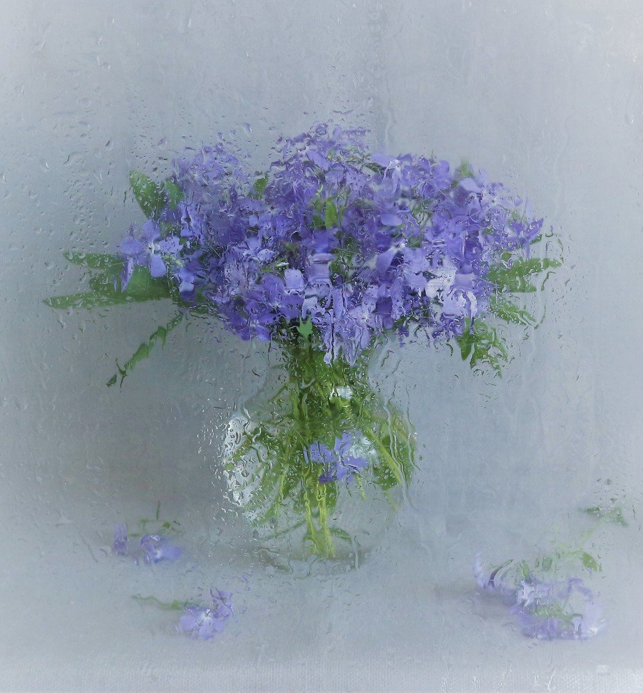 Летний дождь