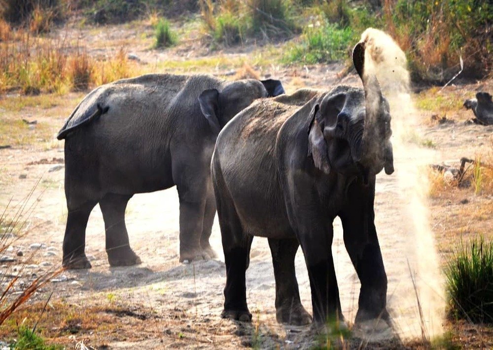 Photograph by Adhiraj Singh