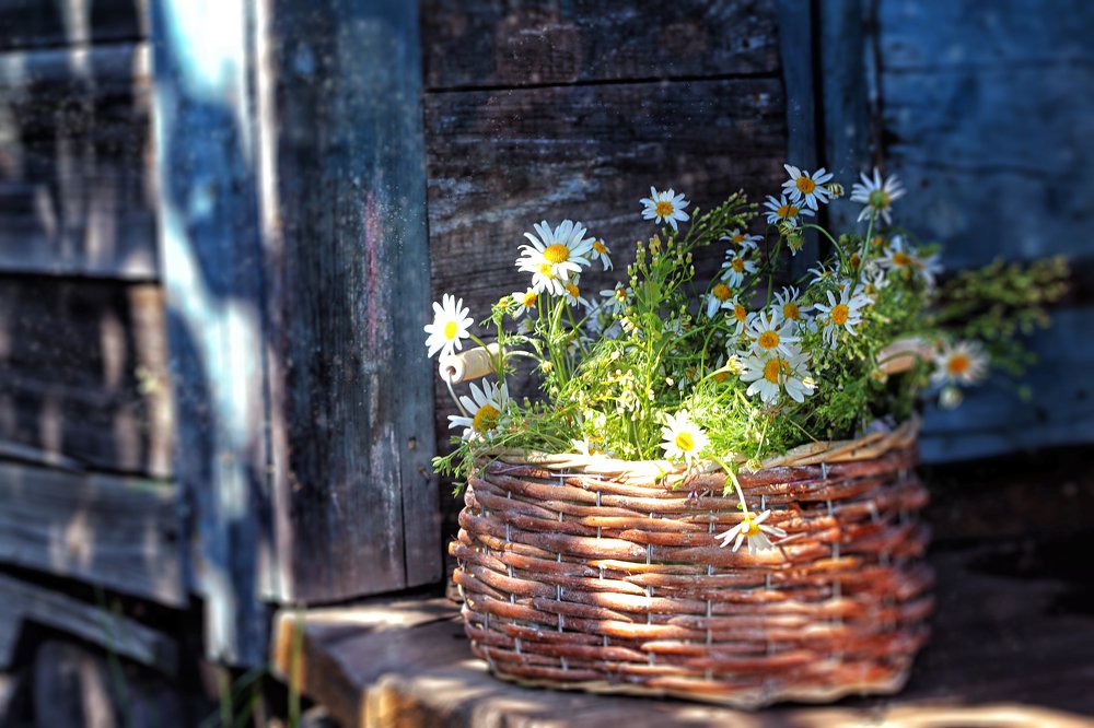 Photograph by Надежда Тарасенко