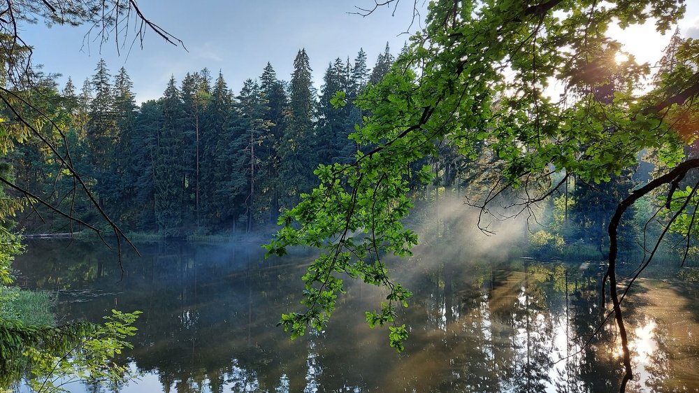 Photograph by ЭЛЬМИРА  ИСМАИЛОВА