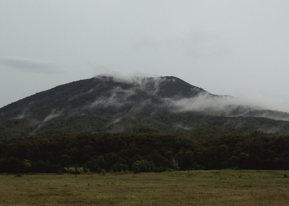 Photograph by Ангелина Журавлева