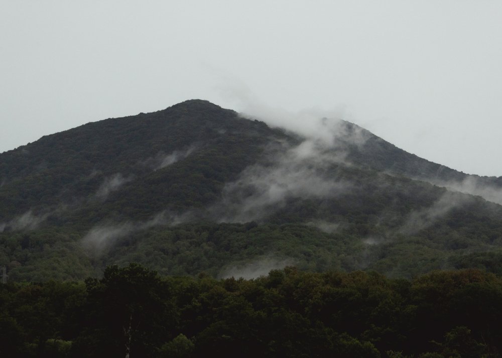 Photograph by Ангелина Журавлева