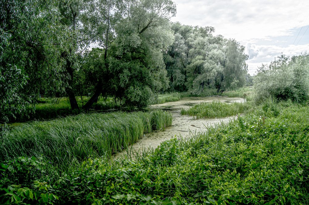 Photograph by Ирина Левина