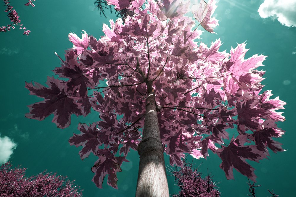 Photograph by Сергей Старостин