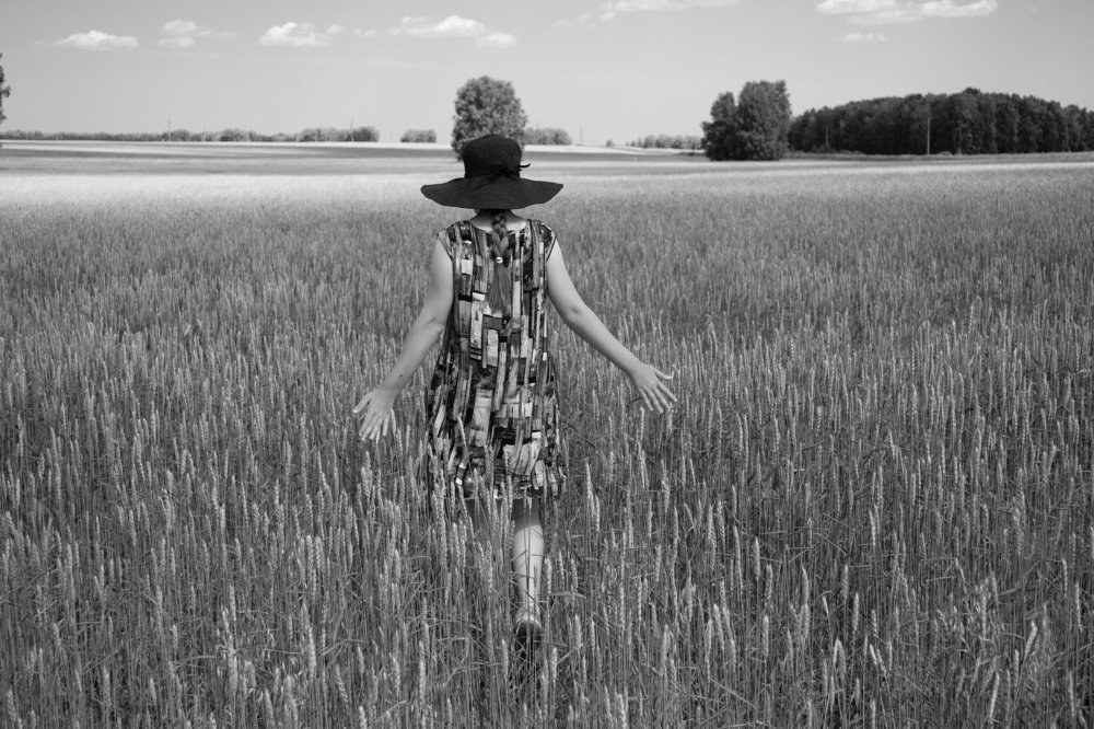 пшеничное поле