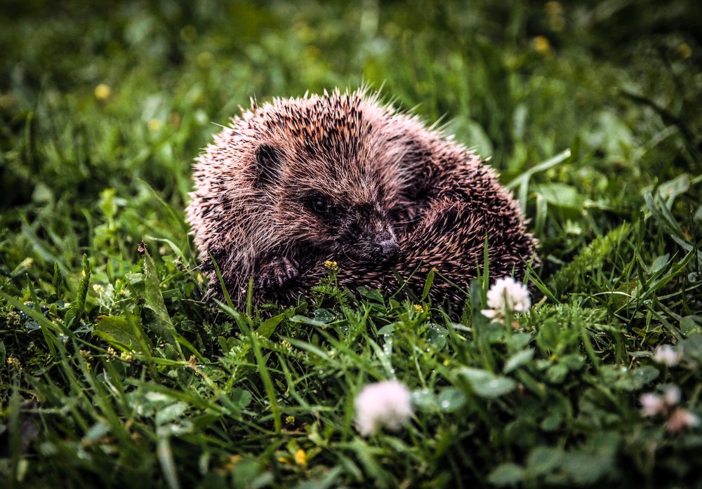 Photograph by Нина Бирюкова