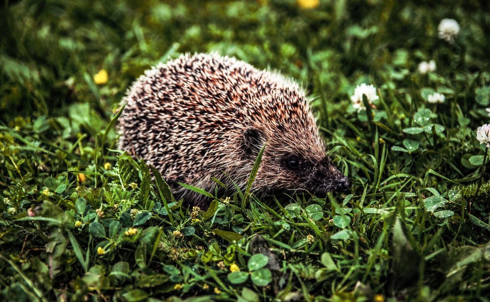 Photograph by Нина Бирюкова