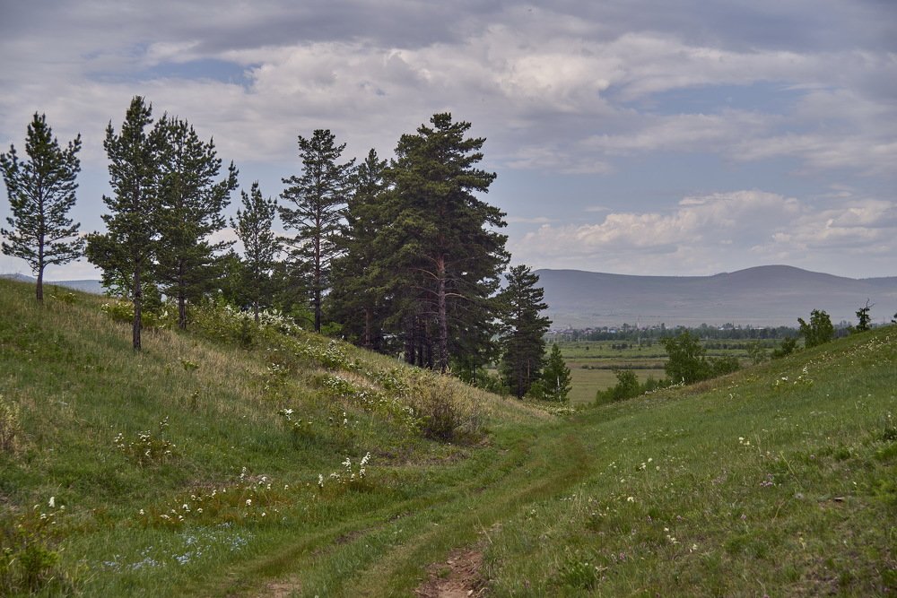 Photograph by Игорь Чижов