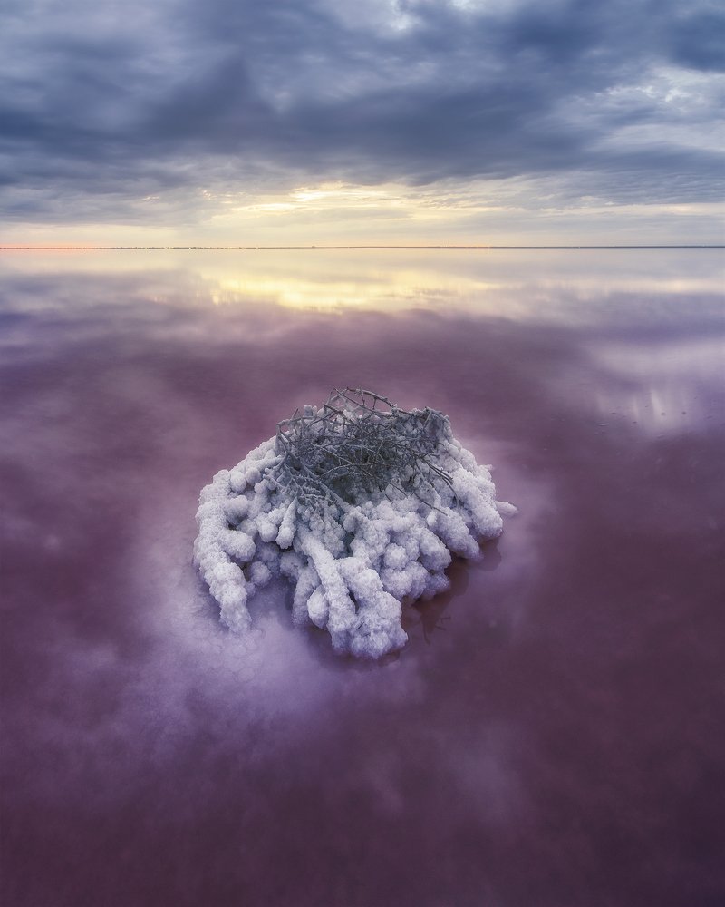 Photograph by Oleg Feofanov