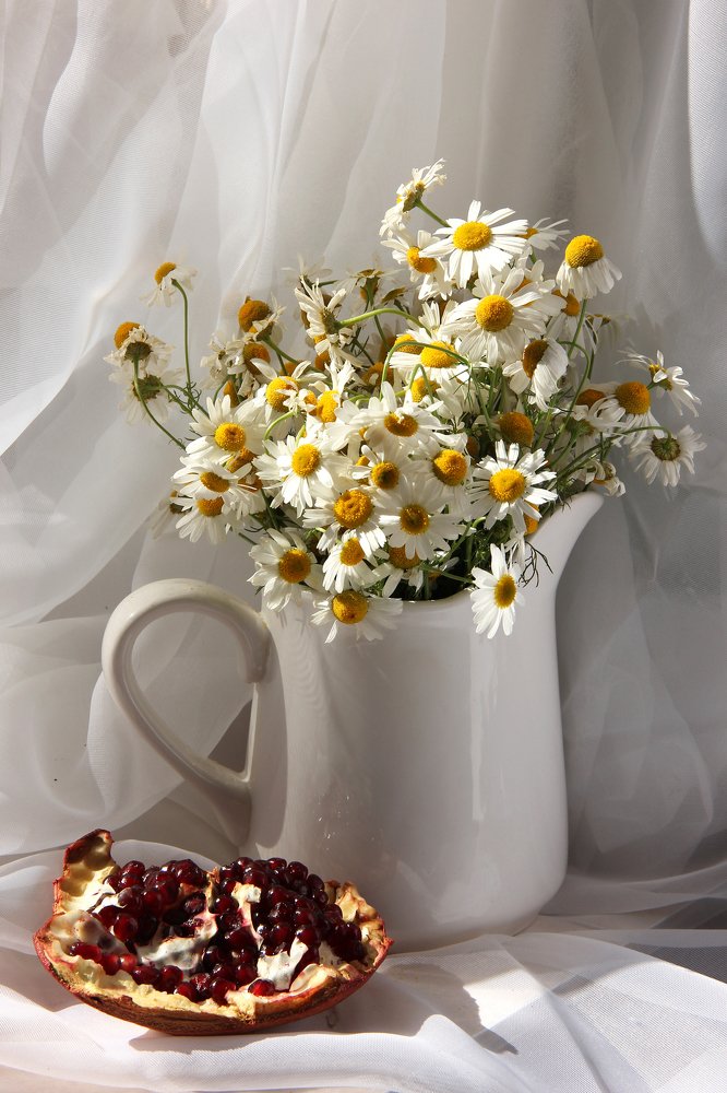 Фотография автора Виктория Гусар