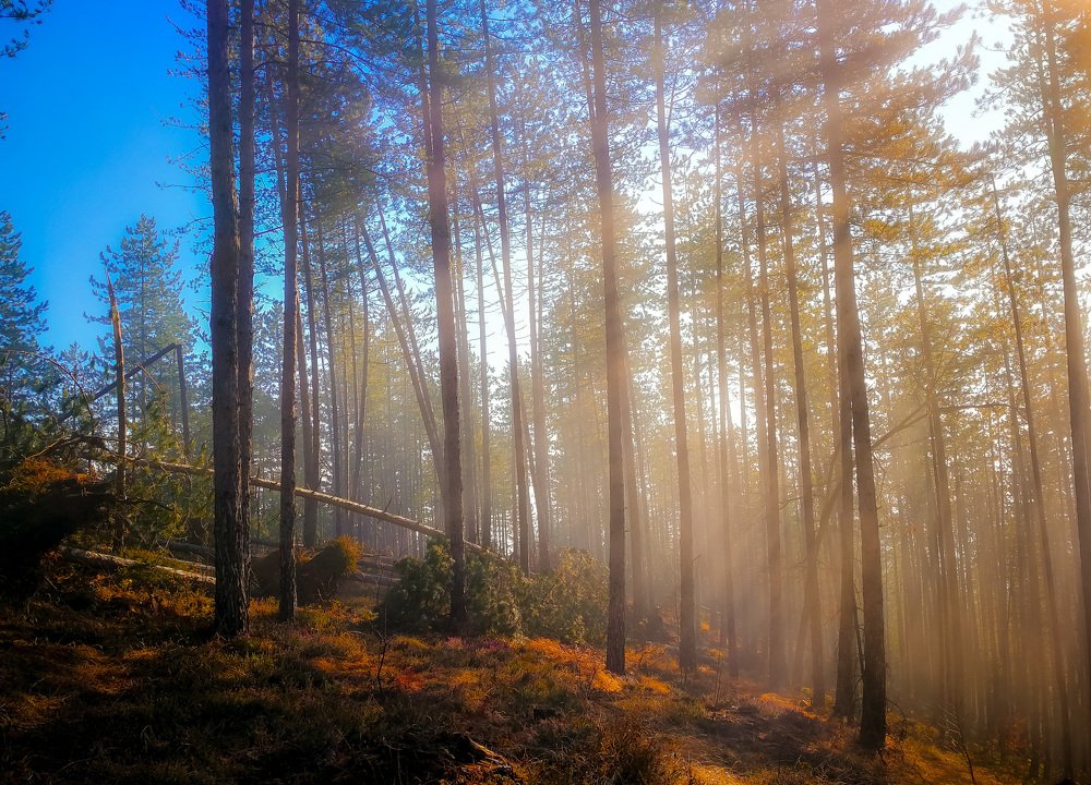 Photograph by Nermin Spahic