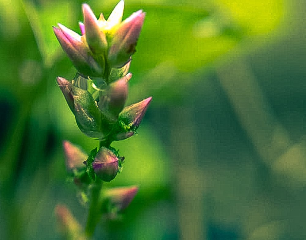 Photograph by Nishant Wankhede