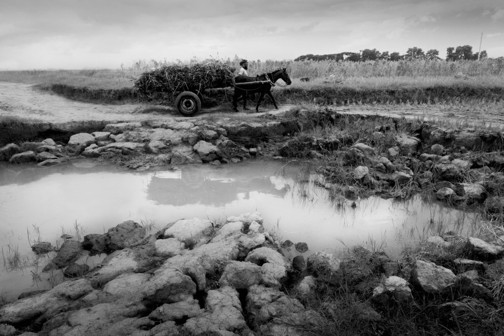 Photograph by Hasan Redoan Rakib